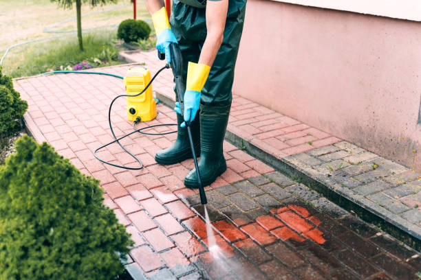 Best Fence Cleaning  in Meridian Hills, IN